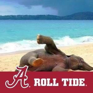 Meet your Posher, Brad